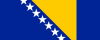 Flag_of_Bosnia_and_Herzegovina.svg