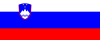 Flag_of_Slovenia.svg