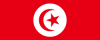 Flag_of_Tunisia_(1959–1999).svg