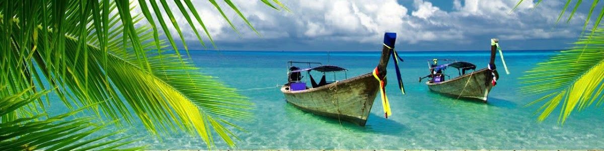 Travel and work Visa